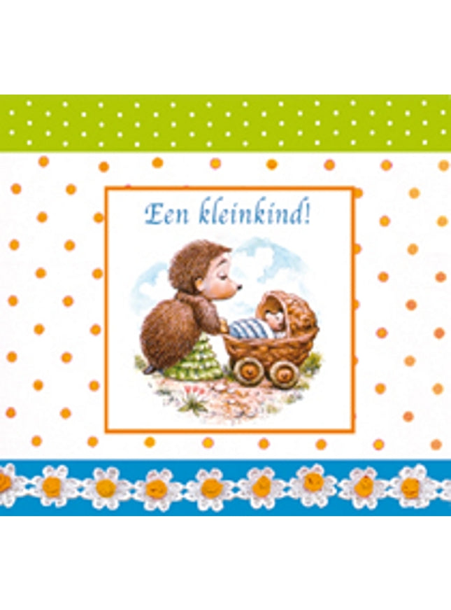Vierkante wenskaart tulpen, "Een kleinkind!" (F04064)