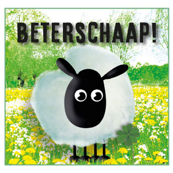 Vierkante wenskaart "Beterschaap!" (F04084)