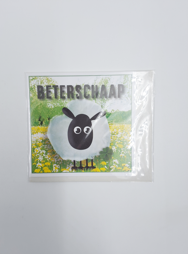 Vierkante wenskaart "Beterschaap!" (F04084)