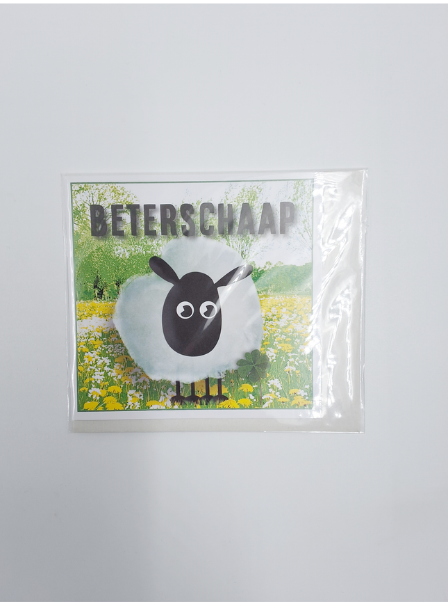 Vierkante wenskaart "Beterschaap!" (F04084)