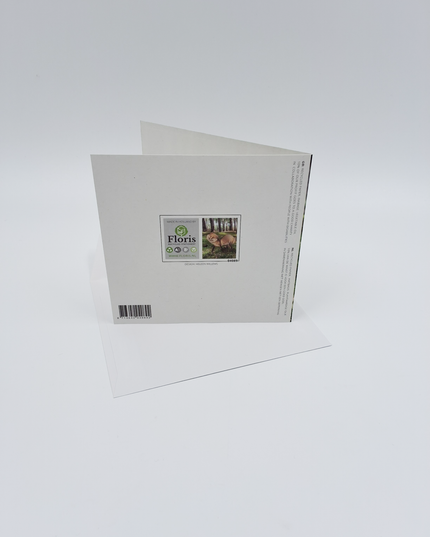 Square greeting card "Be Wild, Be Clever, Be Free!" (F04089)