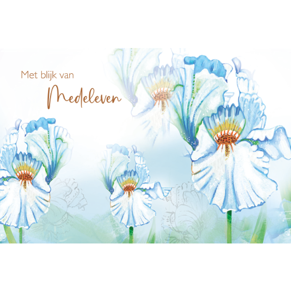 Wenskaart met blijk van medeleven (F10006)