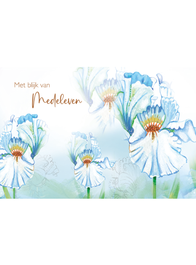 Wenskaart met blijk van medeleven (F10006)