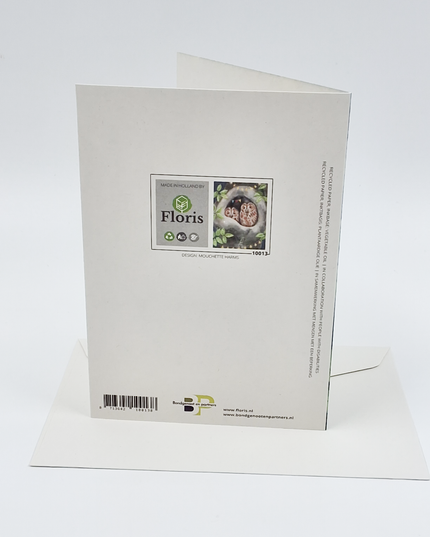 Greeting card owl in tree (F10013)