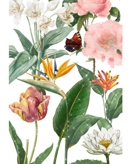 Wenskaart botanische tuin (F10087)