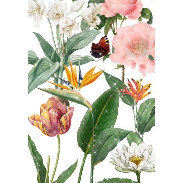 Wenskaart botanische tuin (F10087)