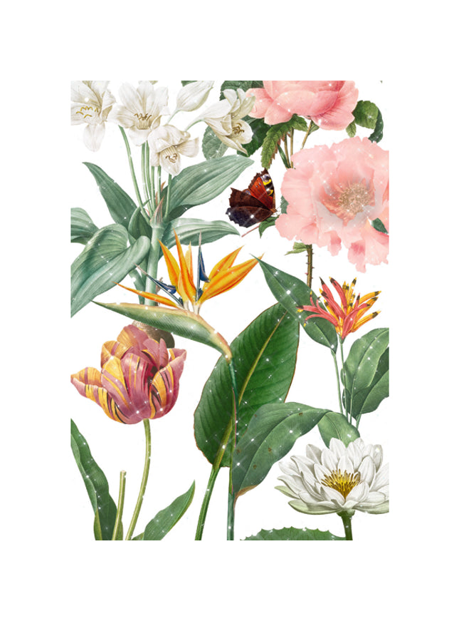 Wenskaart botanische tuin (F10087)