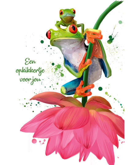 Wenskaart een opkikkertje (F10089)