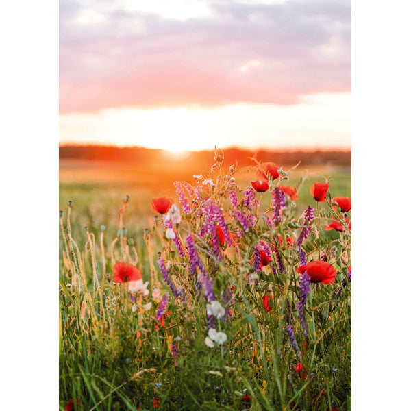 Wenskaart zonsopkomst bloemen (F10091)