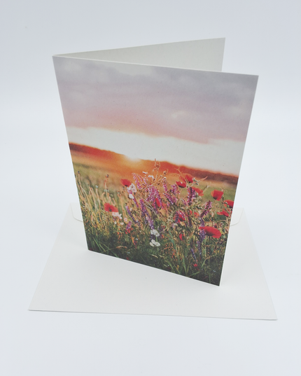 Greeting card sunrise flowers (F10091)