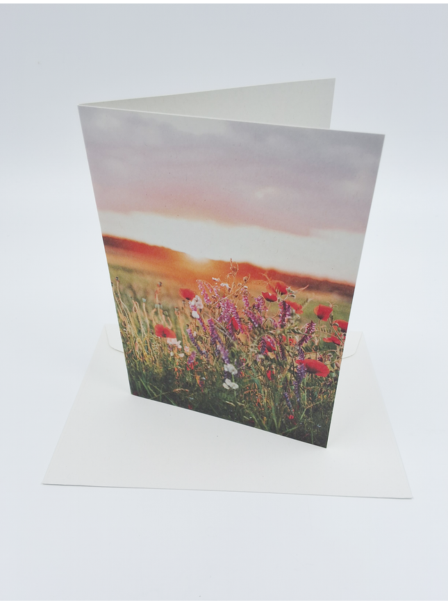 Wenskaart zonsopkomst bloemen (F10091)
