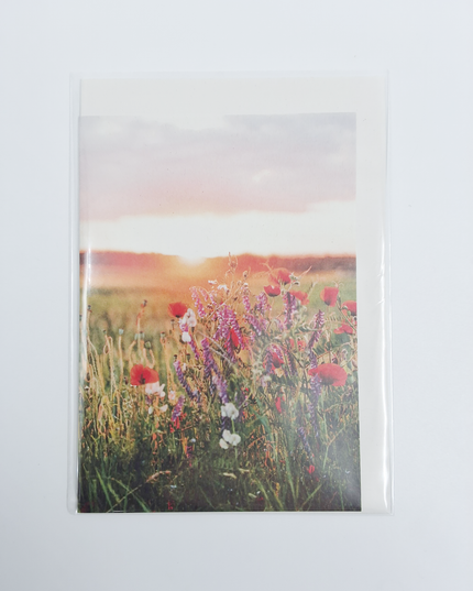 Greeting card sunrise flowers (F10091)