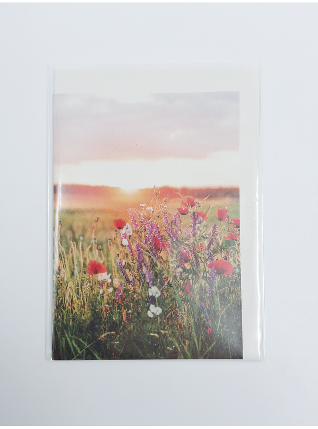 Wenskaart zonsopkomst bloemen (F10091)