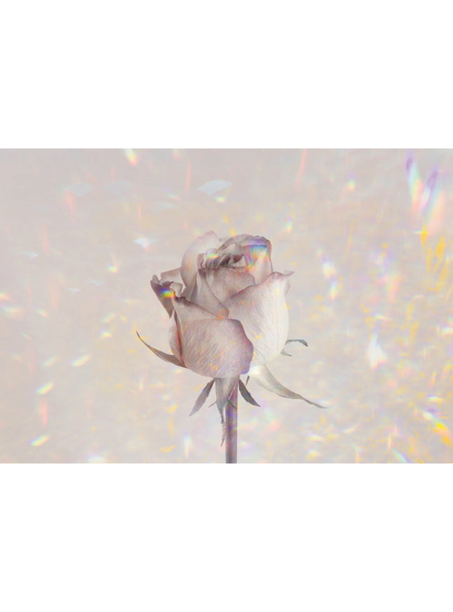 Carte de vœux rose holographique