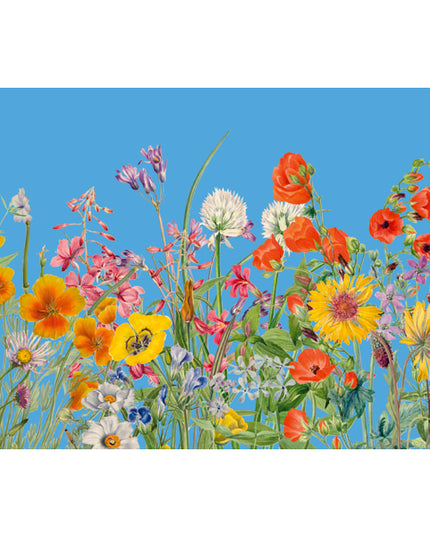 Greeting card flowers and blue sky (F10096)