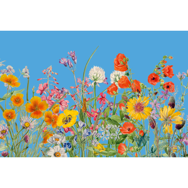 Wenskaart bloemen en blauwe lucht (F10096)