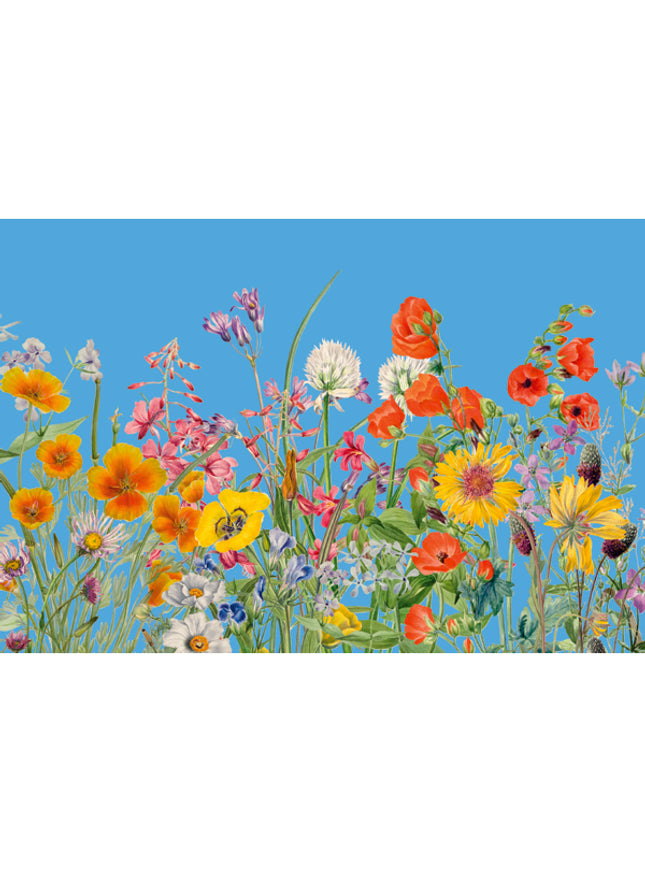 Wenskaart bloemen en blauwe lucht (F10096)
