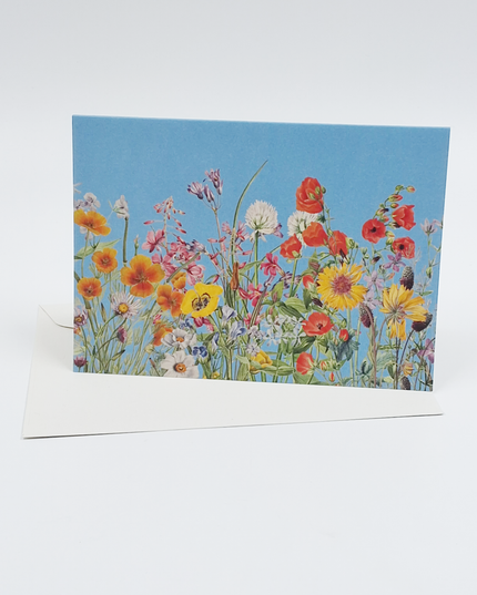 Greeting card flowers and blue sky (F10096)