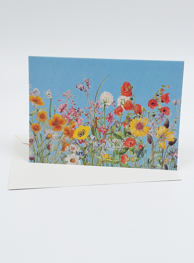 Wenskaart bloemen en blauwe lucht (F10096)
