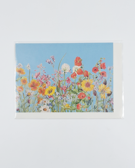 Greeting card flowers and blue sky (F10096)