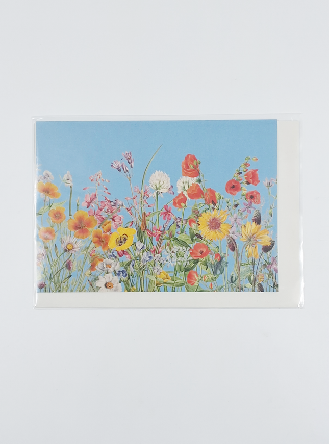 Wenskaart bloemen en blauwe lucht (F10096)
