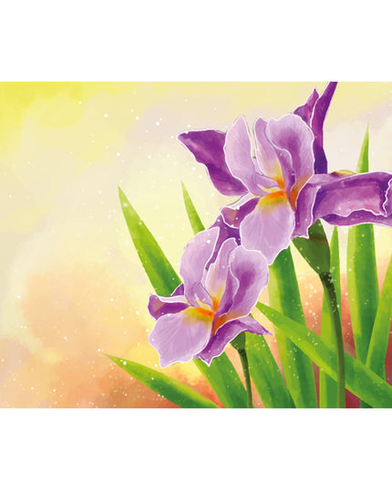Greeting card purple irises (F11001)