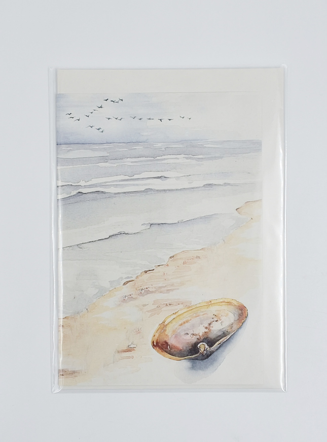 Wenskaart strand met schelp (F11013)