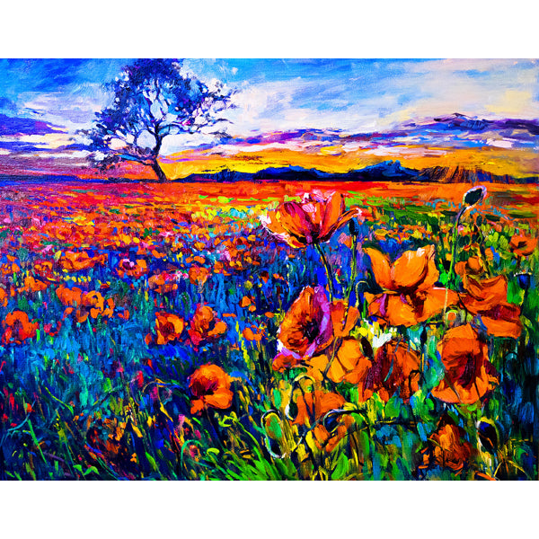 Wenskaart veld met bloemen (F11025)