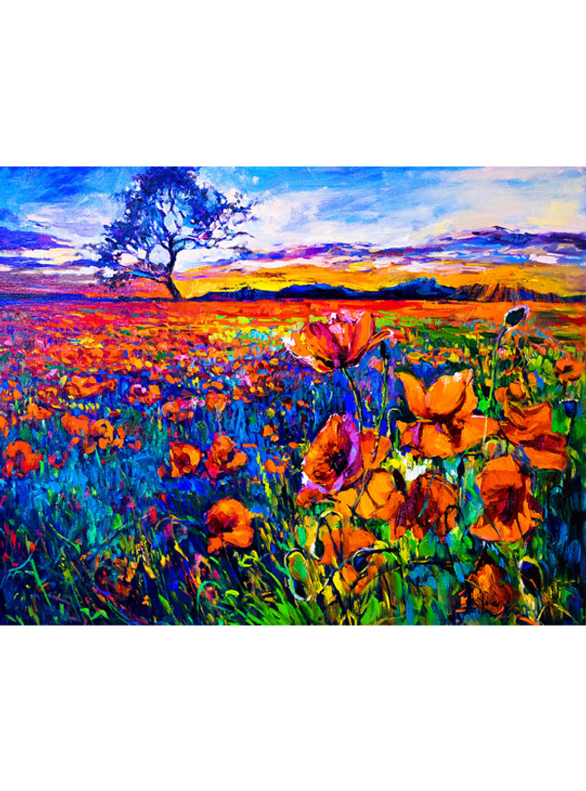 Wenskaart veld met bloemen (F11025)