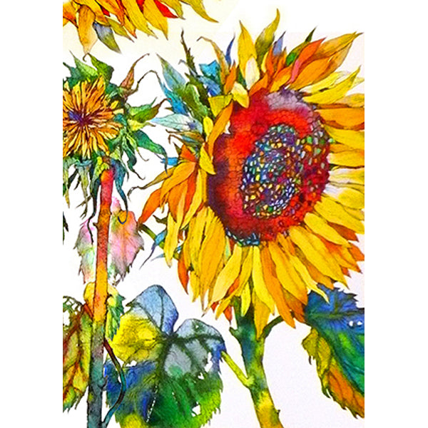 Wenskaart zonnebloem (F11035)