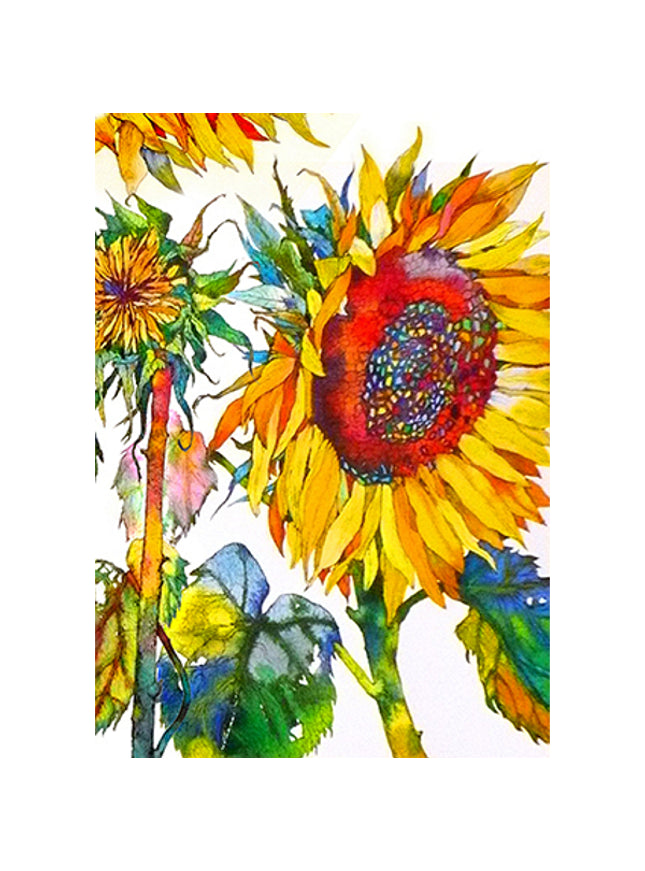 Wenskaart zonnebloem (F11035)