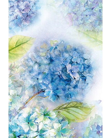 Greetings card hydrangea (F11041)