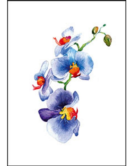 Greeting card orchid blue (F11054)