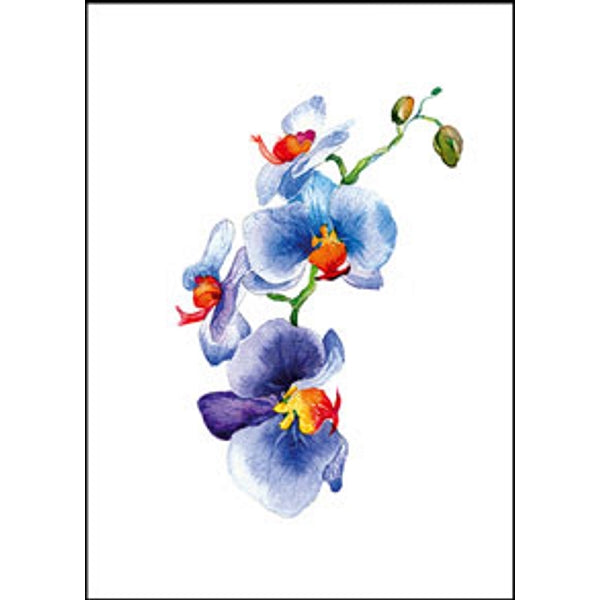 Wenskaart orchidee blauw (F11054)