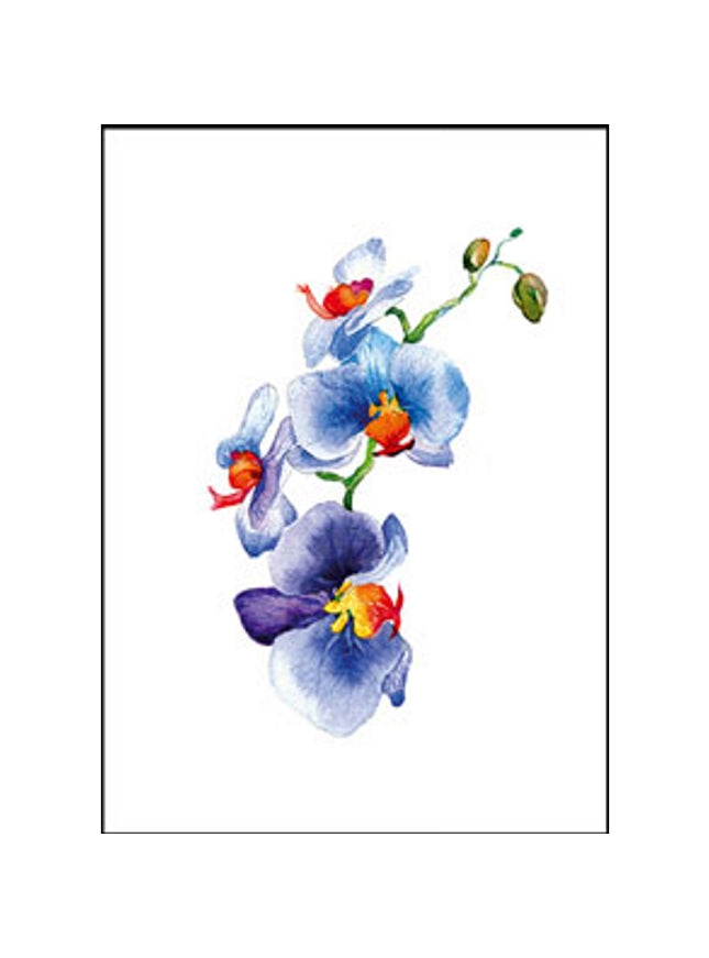 Wenskaart orchidee blauw (F11054)