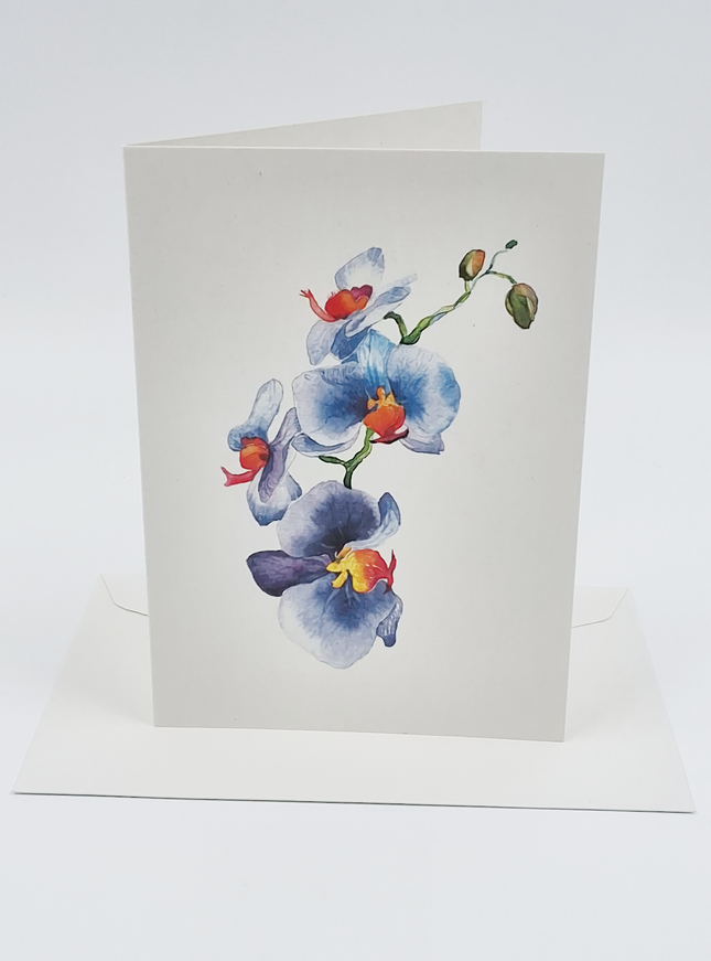 Wenskaart orchidee blauw (F11054)