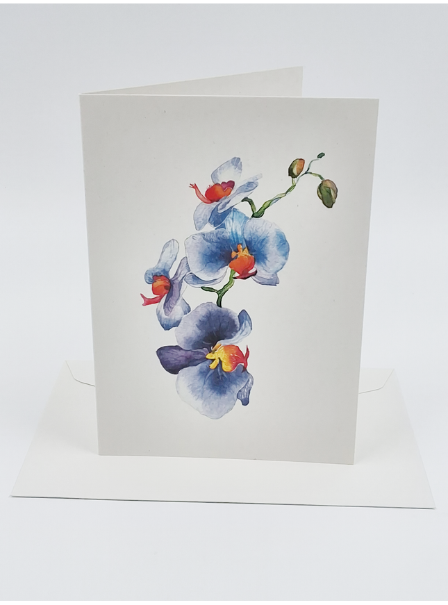 Wenskaart orchidee blauw (F11054)