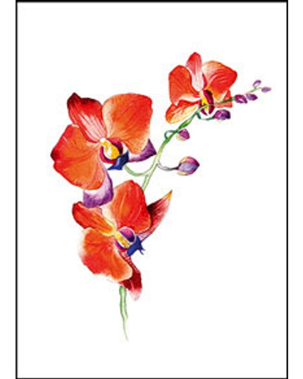 Wenskaart orchidee rood (F11055)