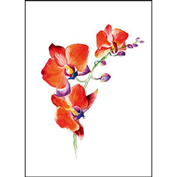 Wenskaart orchidee rood (F11055)
