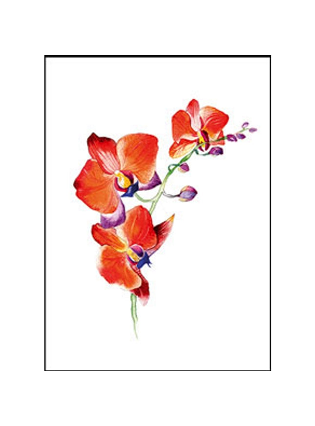 Wenskaart orchidee rood (F11055)