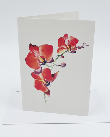 Wenskaart orchidee rood (F11055)