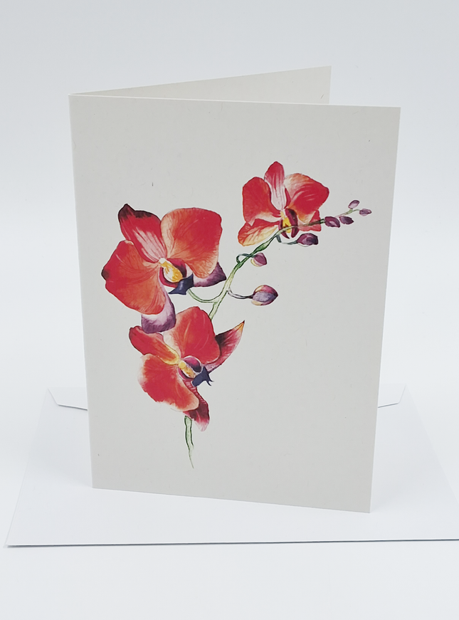 Wenskaart orchidee rood (F11055)