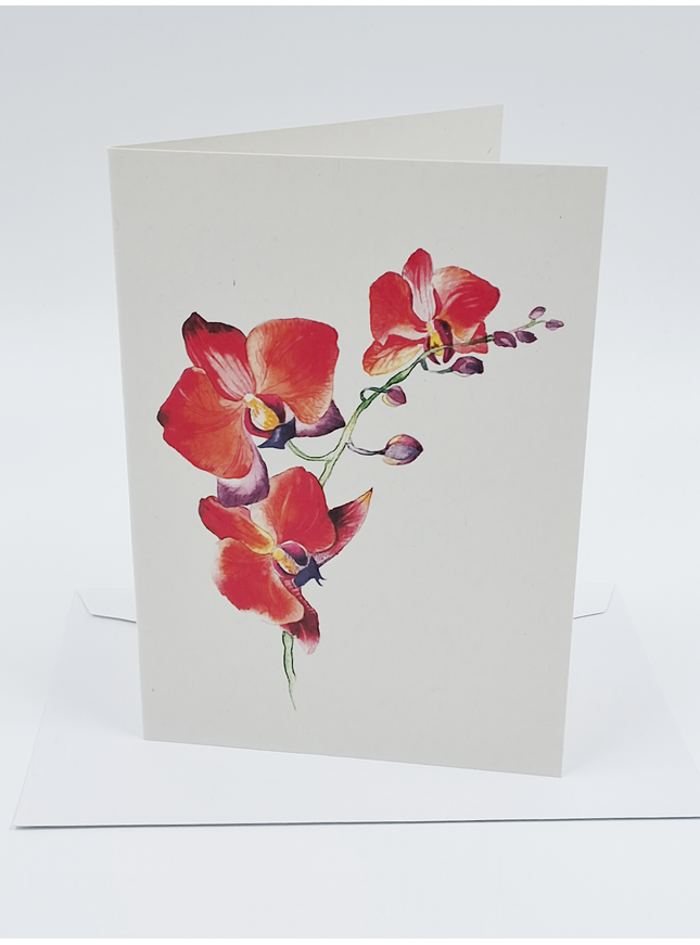 Wenskaart orchidee rood (F11055)