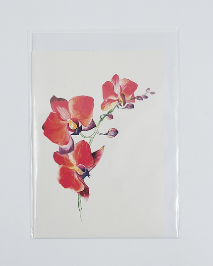 Wenskaart orchidee rood (F11055)