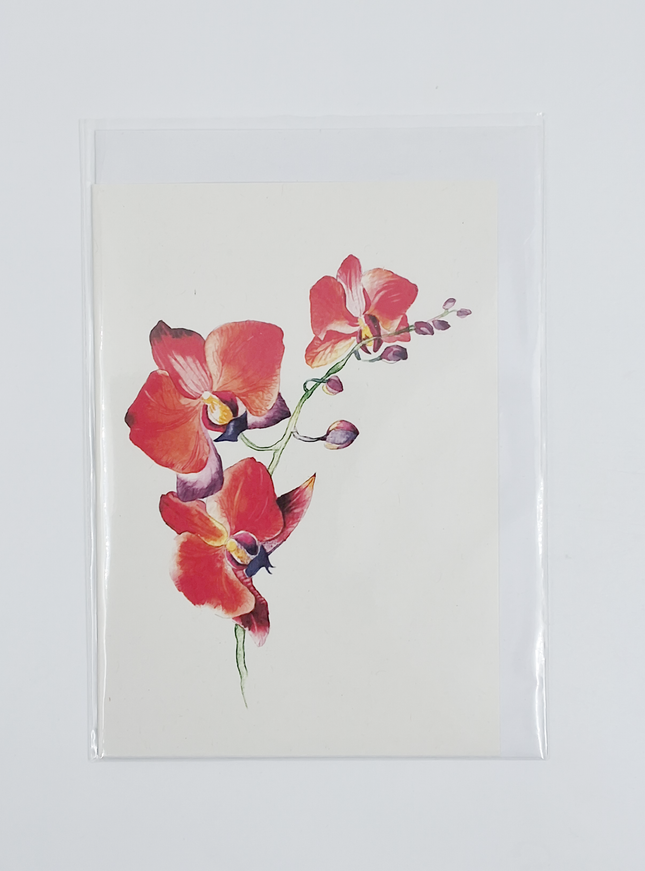 Wenskaart orchidee rood (F11055)