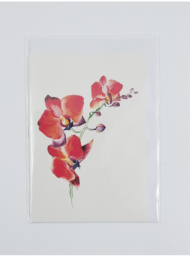 Wenskaart orchidee rood (F11055)