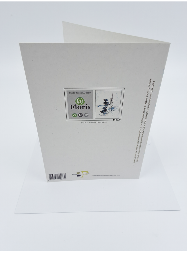 Wenskaart twee eendjes (F11073)
