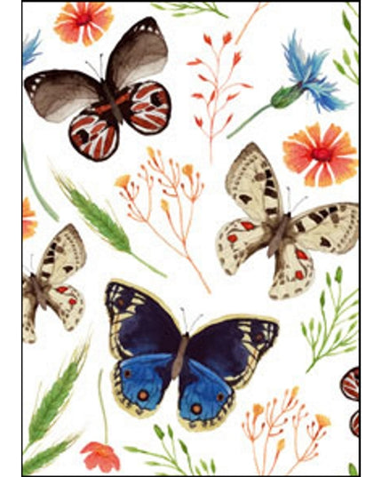 Greeting card butterfly, flower (F11097)