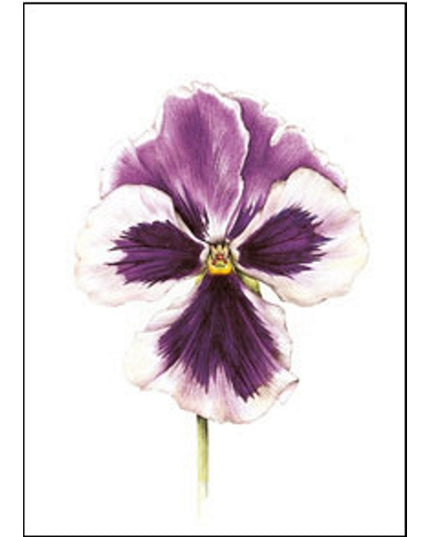 Greeting card purple violin (F11098)