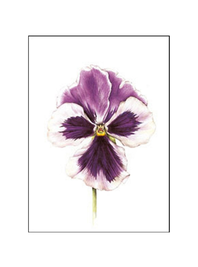 carte de vœux violette